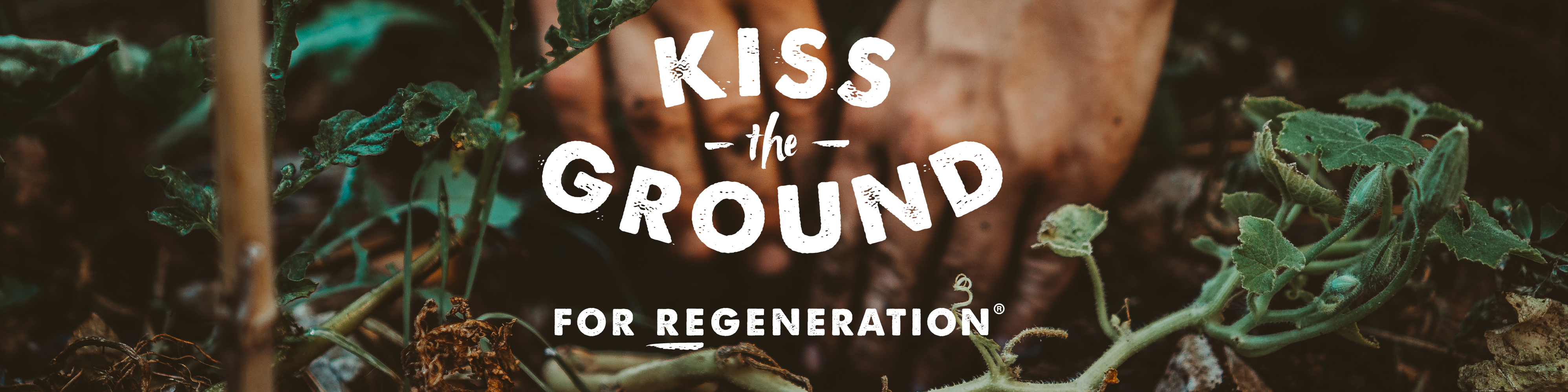 KTG_header